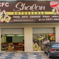 newart-auto-escola-shalon